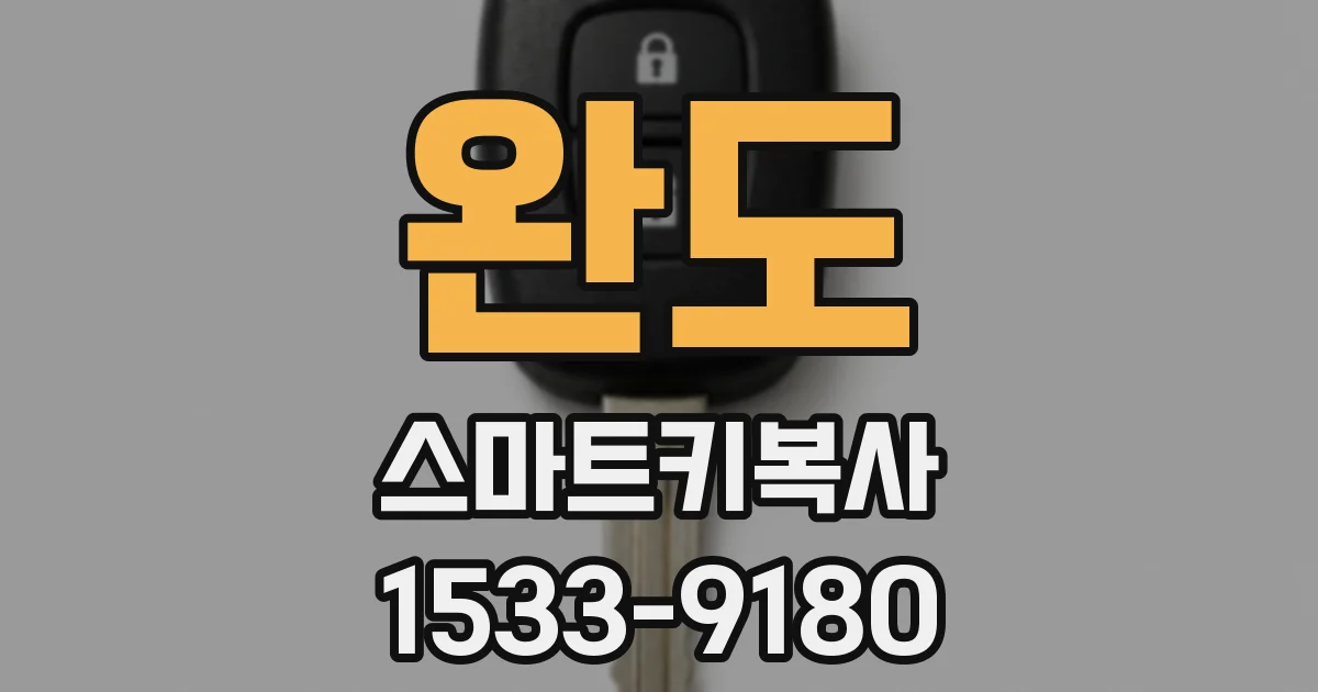 완도 스마트키복사