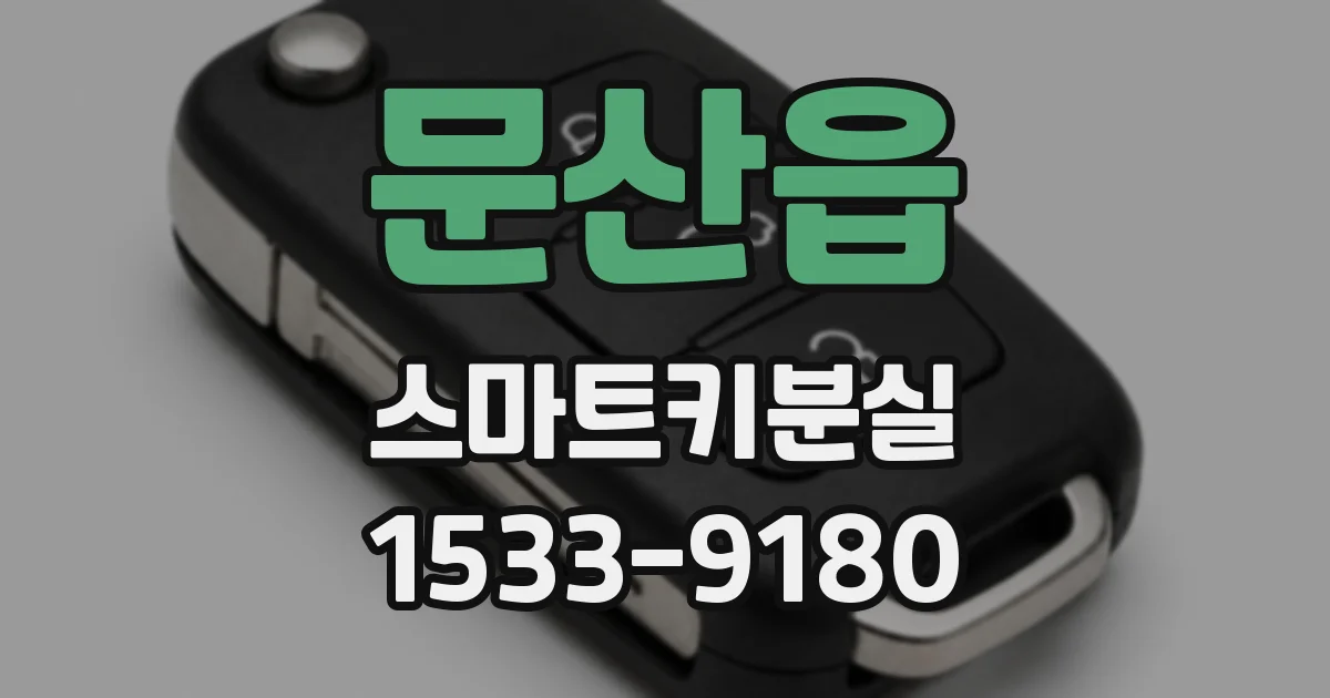 문산읍 스마트키분실
