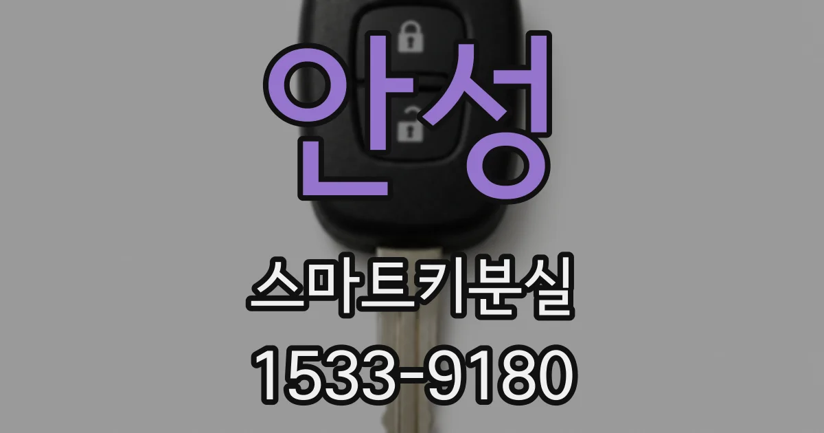 안성 스마트키분실