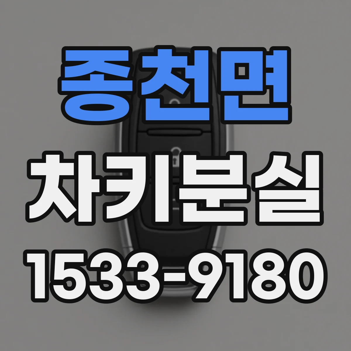 종천면 차키분실