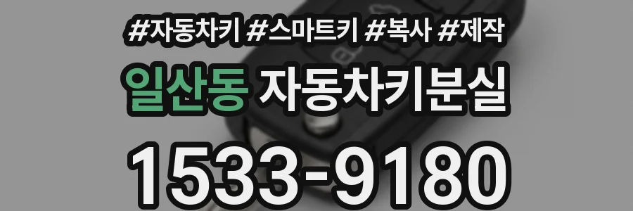 일산동 자동차키분실