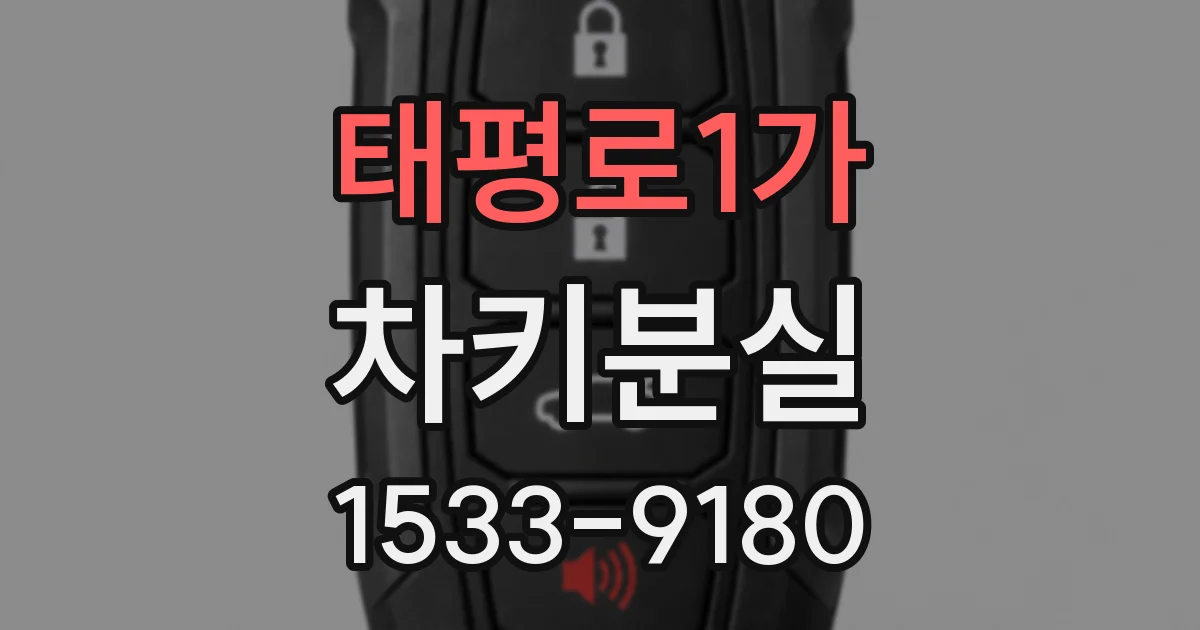 태평로1가 차키분실