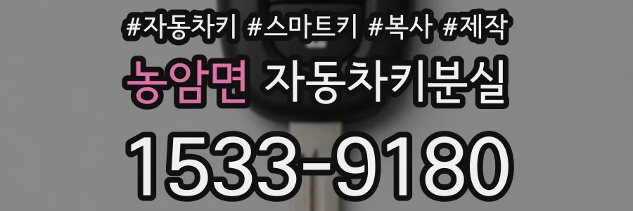 농암면 자동차키분실
