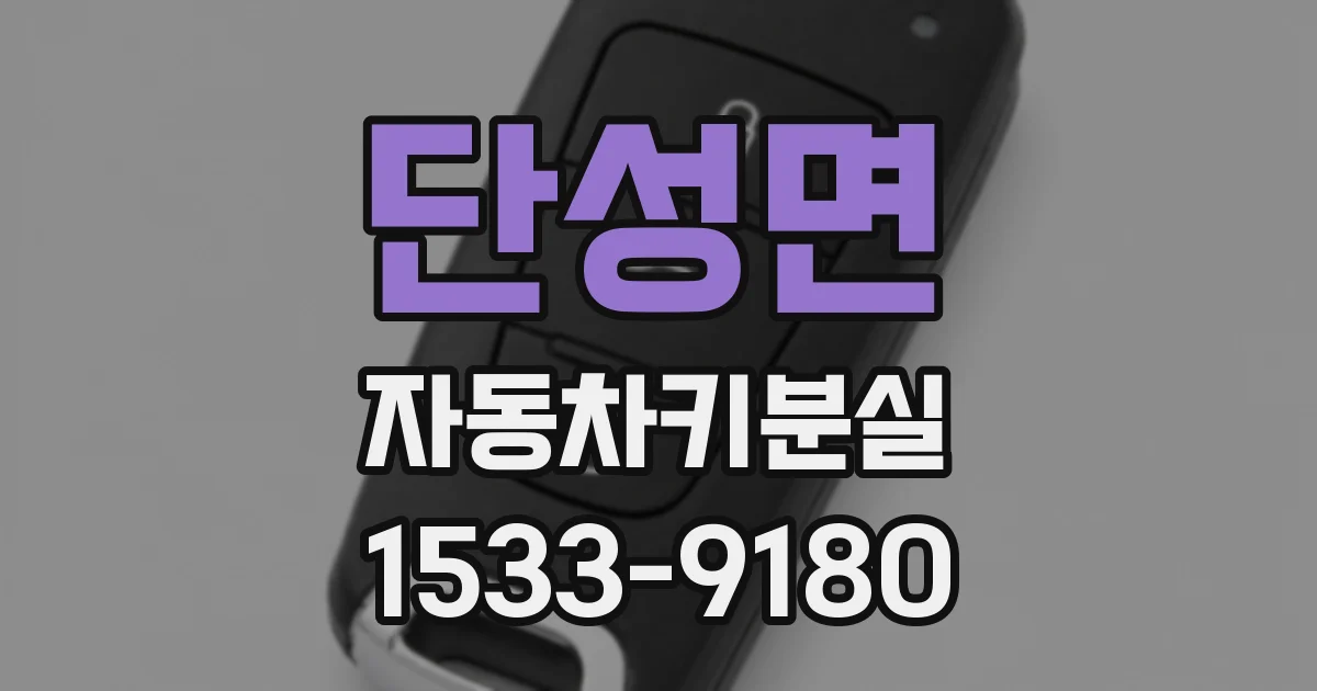 단성면 자동차키분실