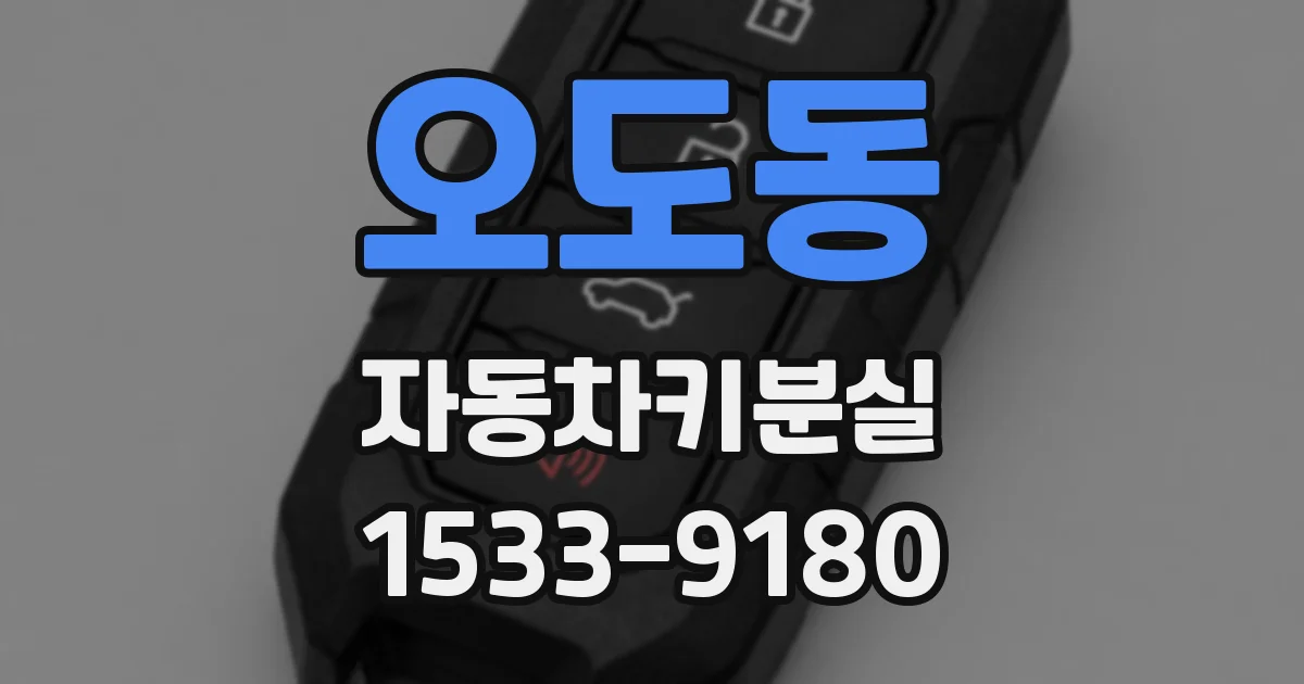 오도동 자동차키분실