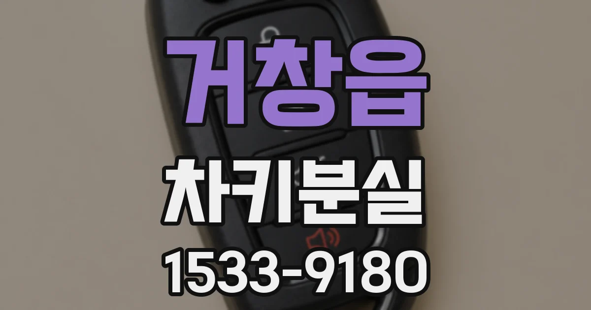 거창읍 차키분실