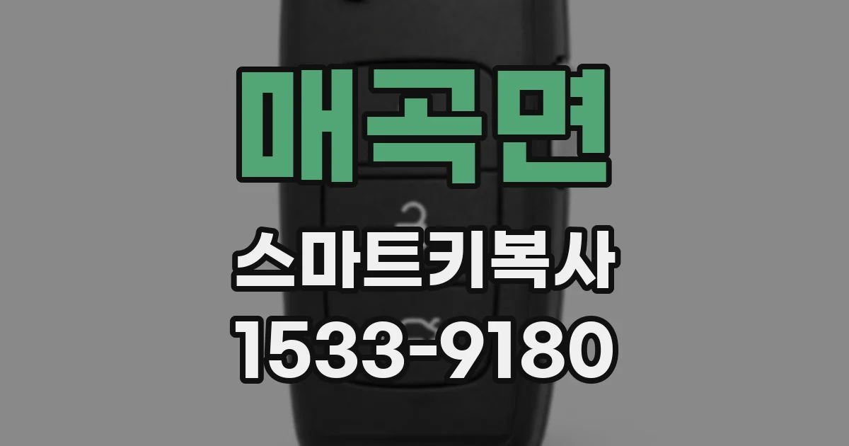 매곡면 스마트키복사