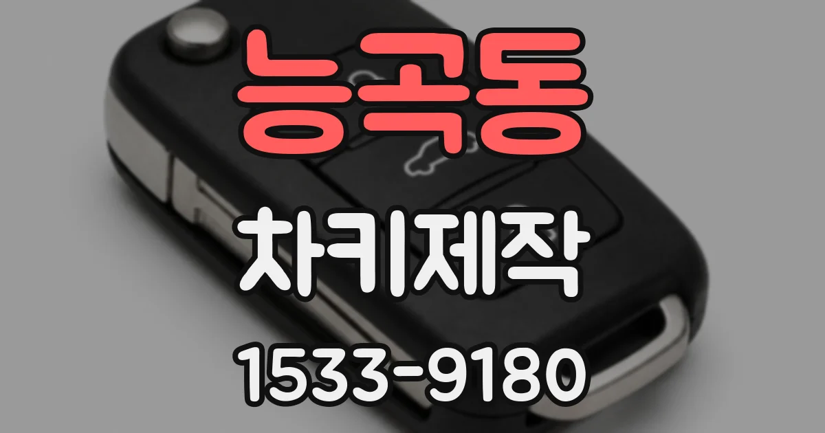 능곡동 차키제작