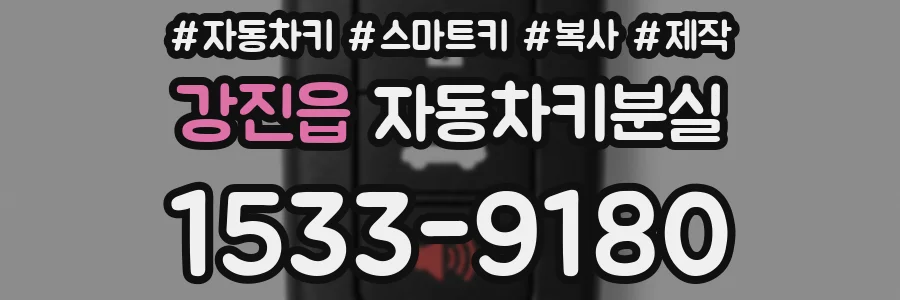 강진읍 자동차키분실