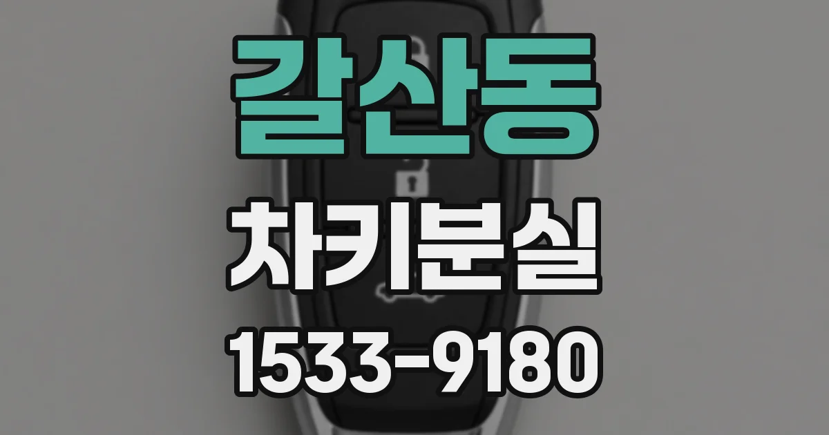 갈산동 차키분실