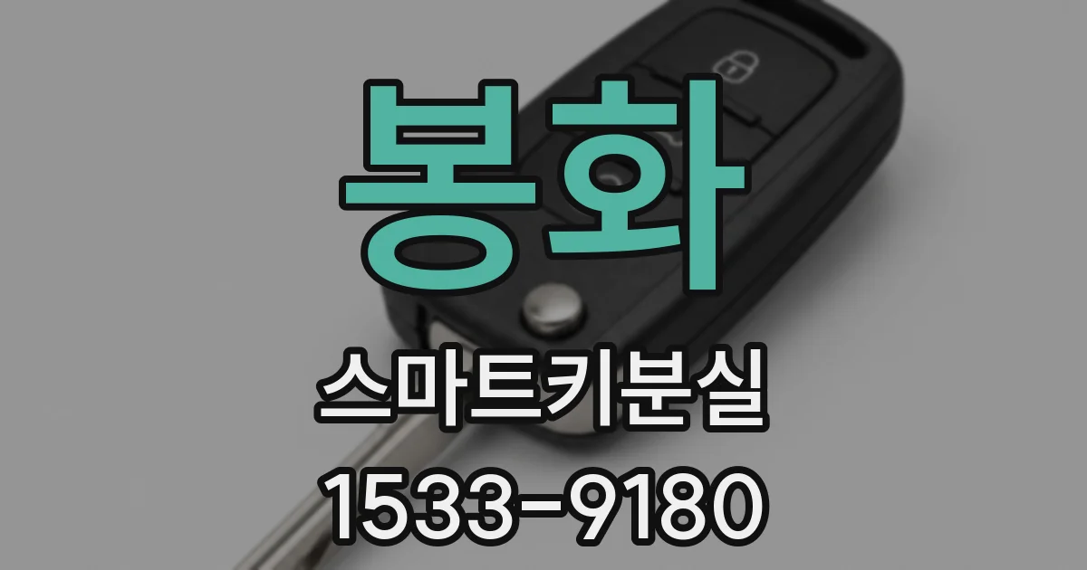 봉화 스마트키분실