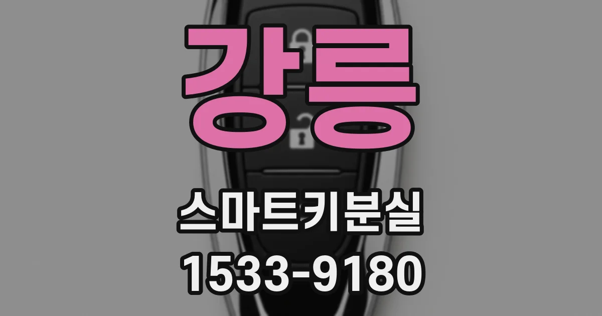 강릉 스마트키분실