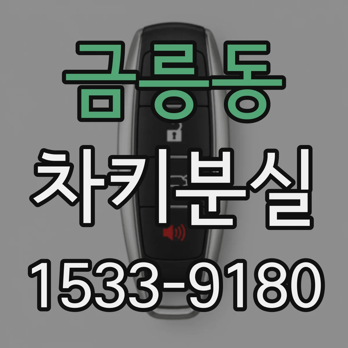금릉동 차키분실