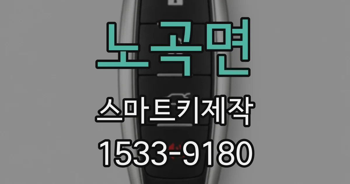 노곡면 스마트키제작