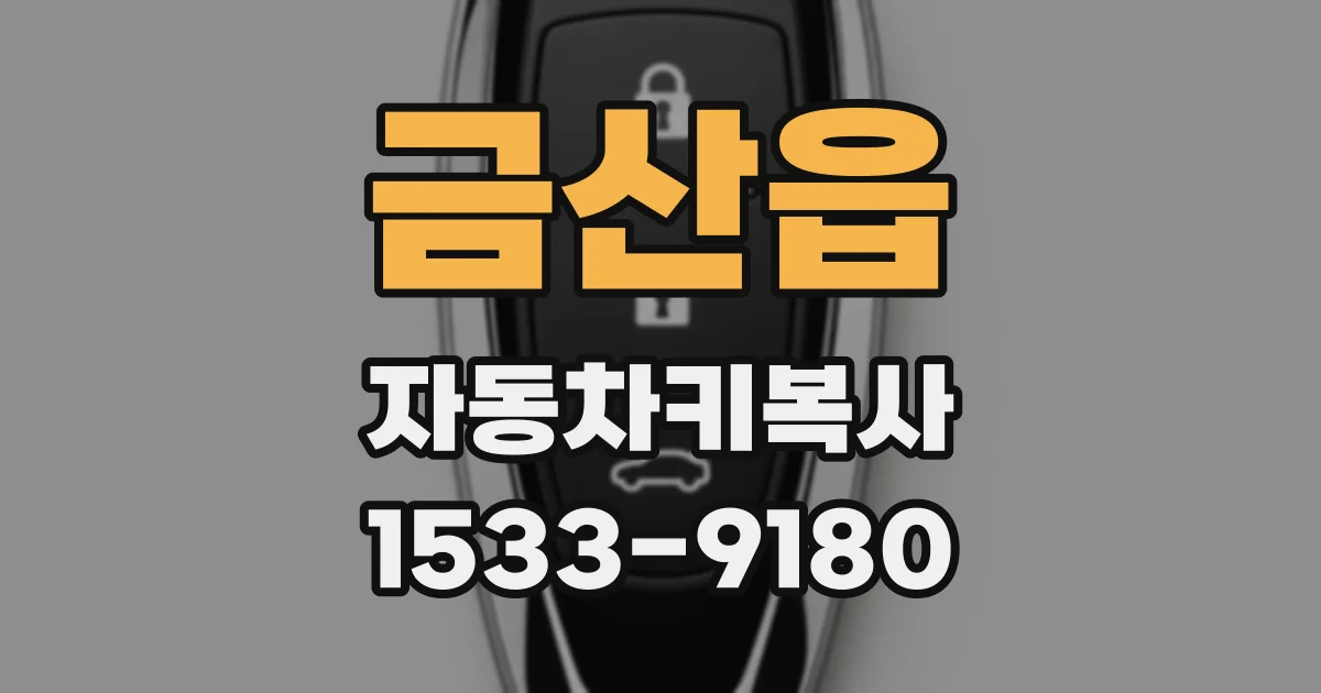 금산읍 자동차키복사