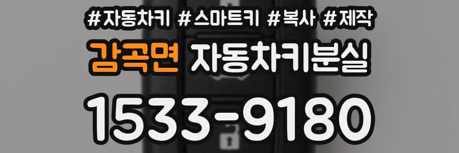 감곡면 자동차키분실