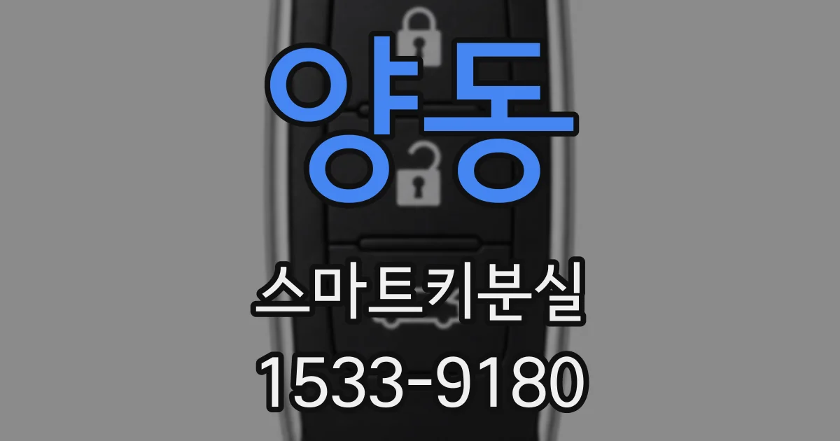 양동 스마트키분실