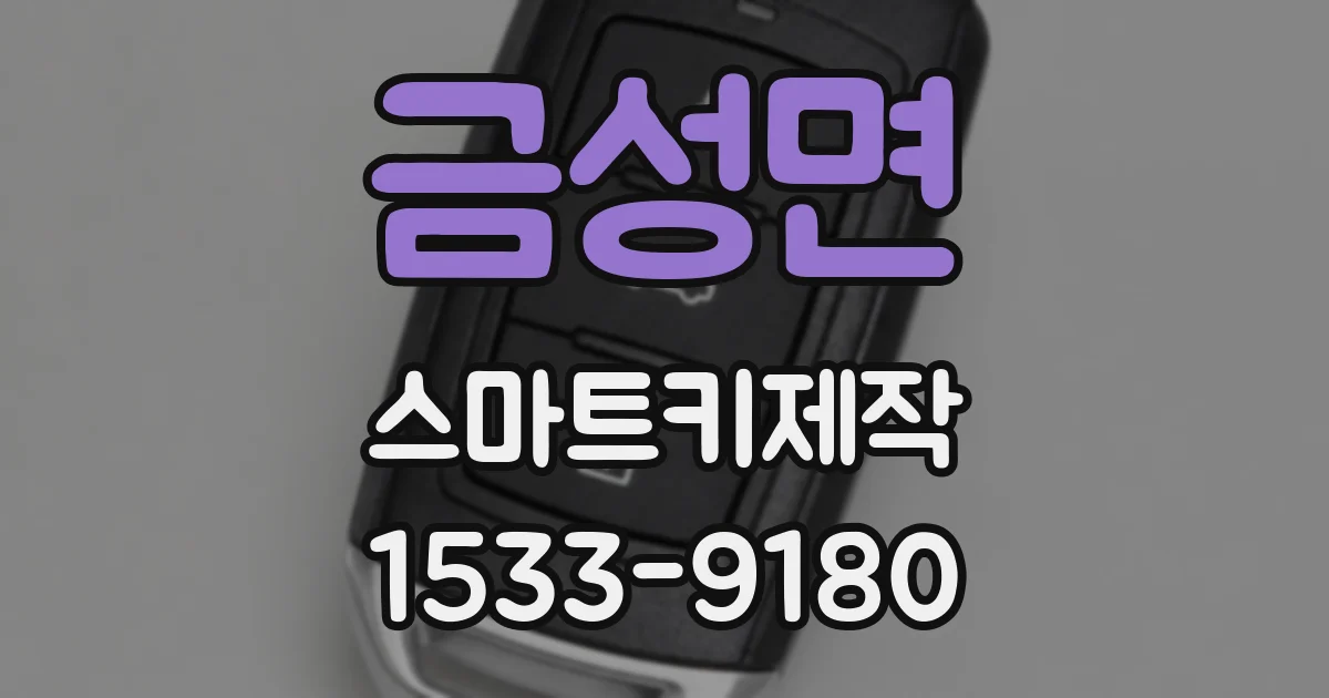 금성면 스마트키제작