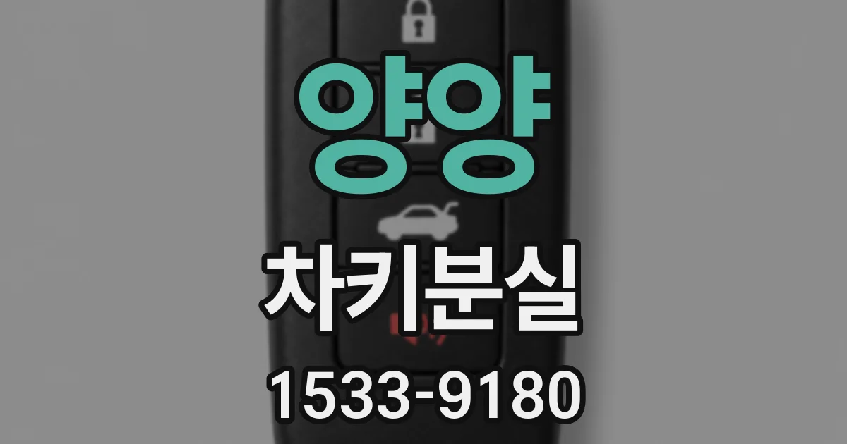 양양 차키분실
