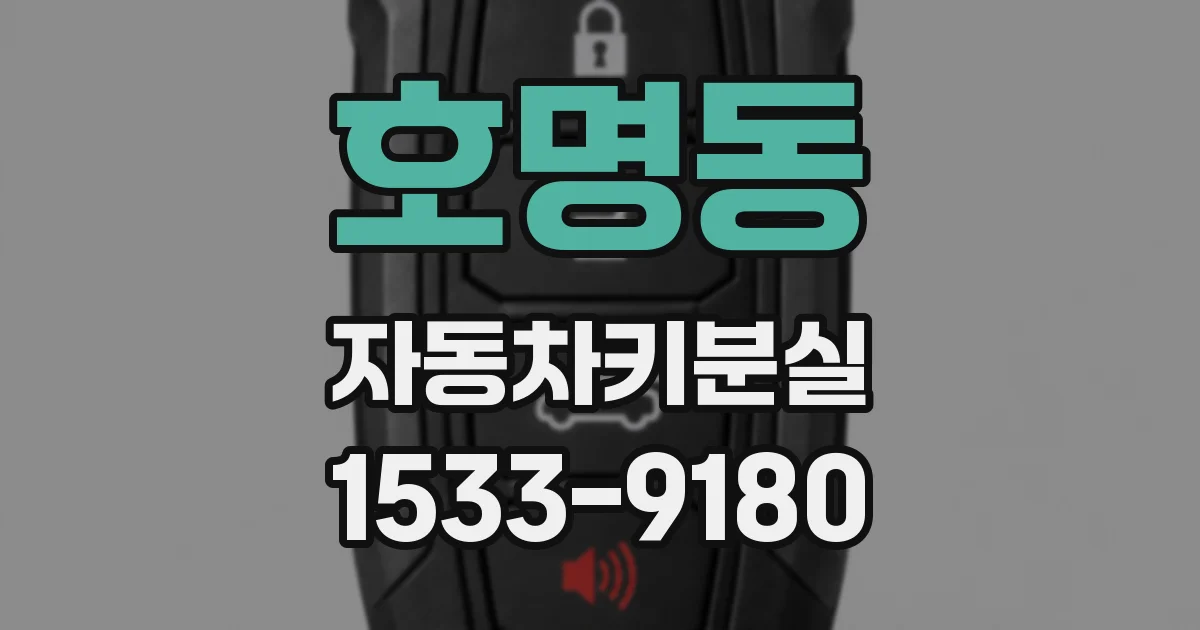 호명동 자동차키분실