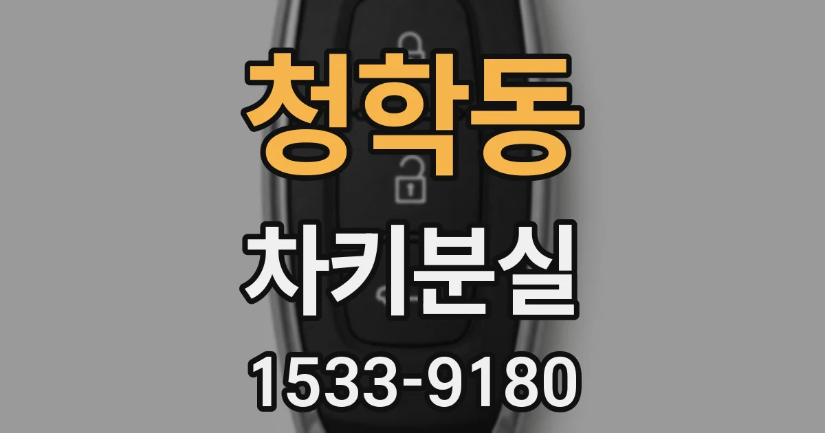 청학동 차키분실