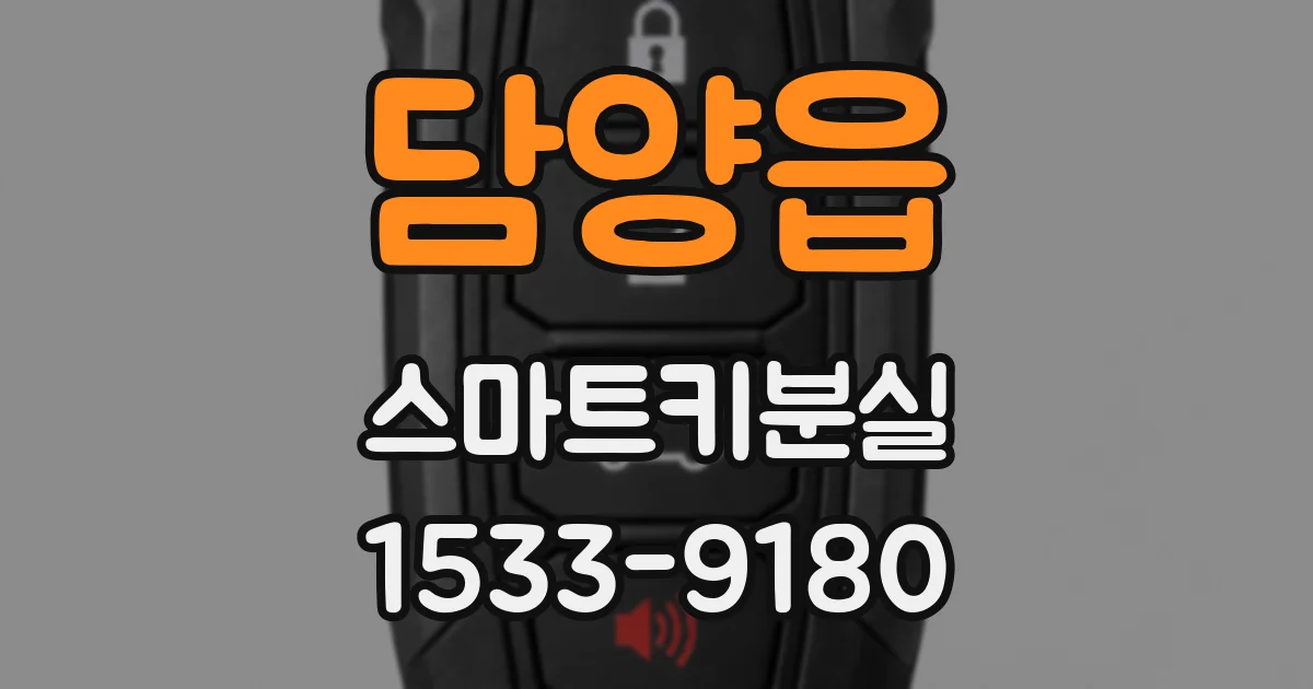 담양읍 스마트키분실