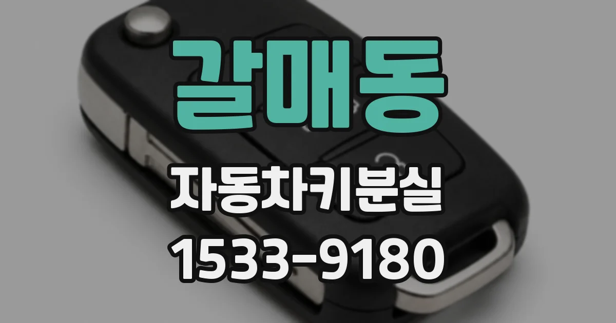 갈매동 자동차키분실