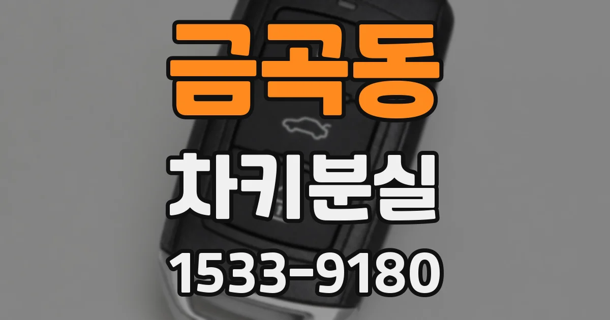 금곡동 차키분실