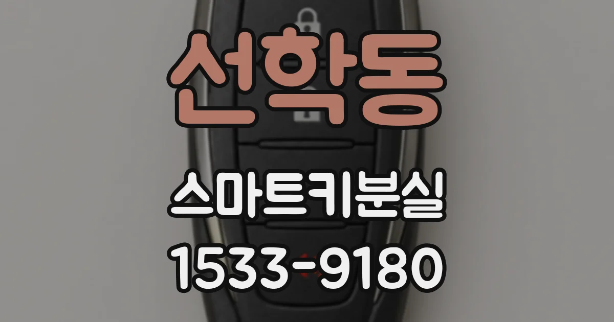 선학동 스마트키분실