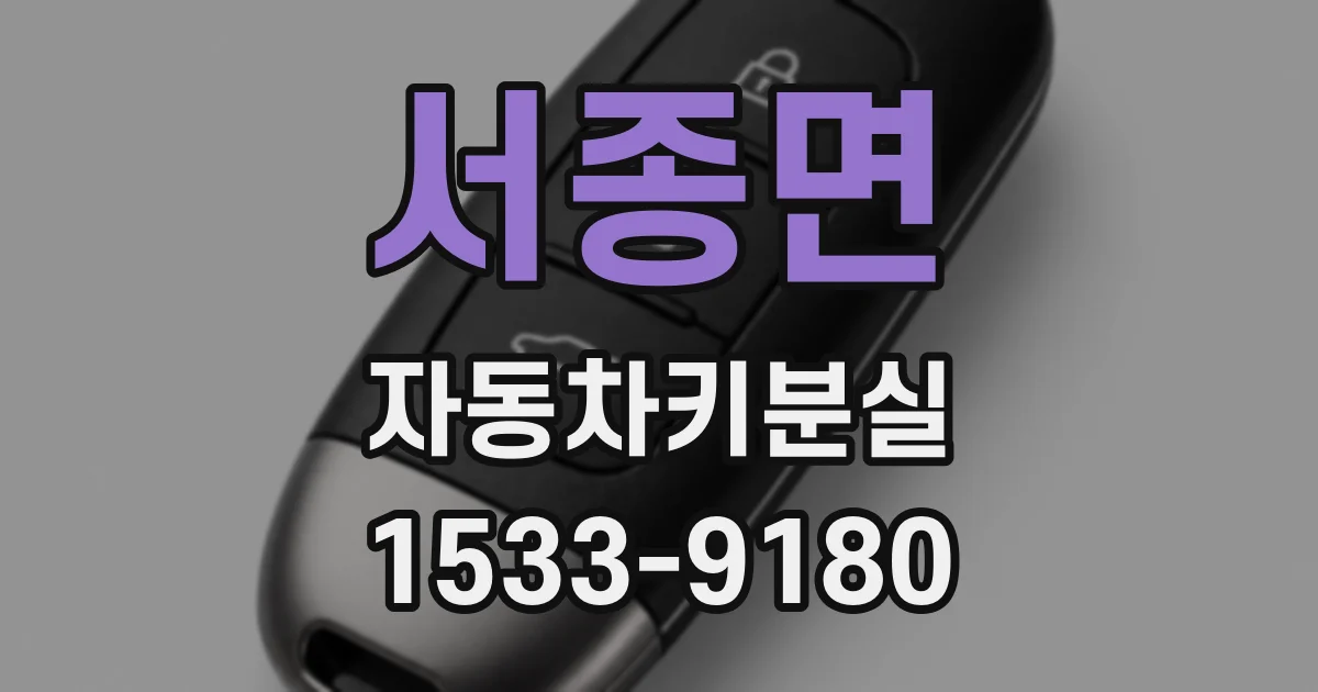 서종면 자동차키분실