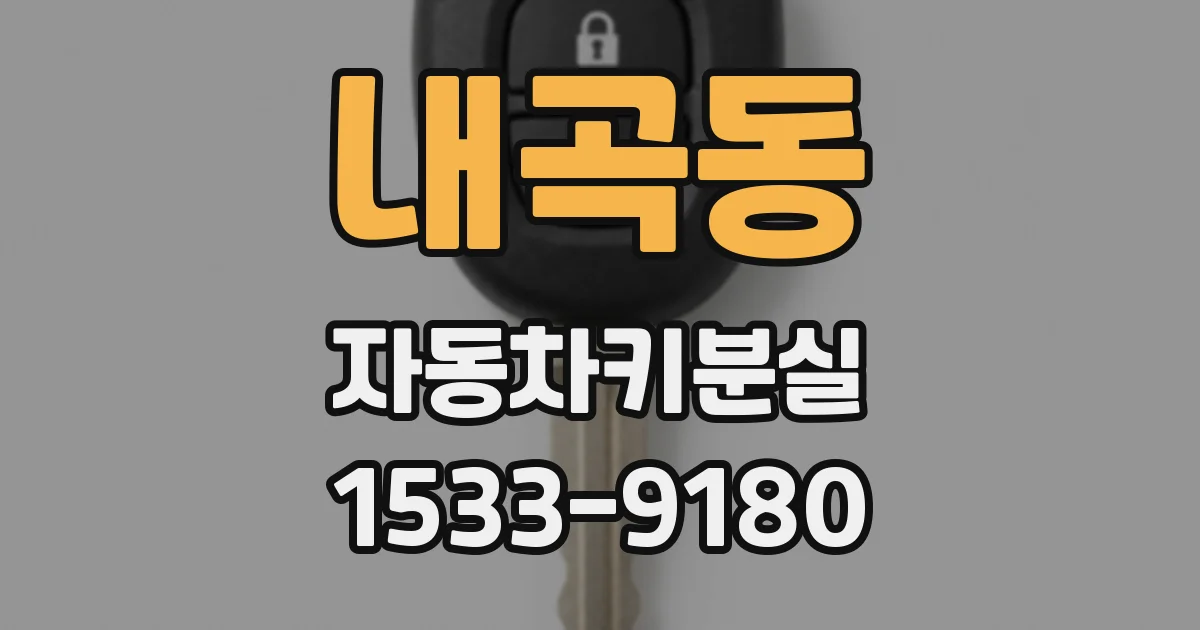 내곡동 자동차키분실