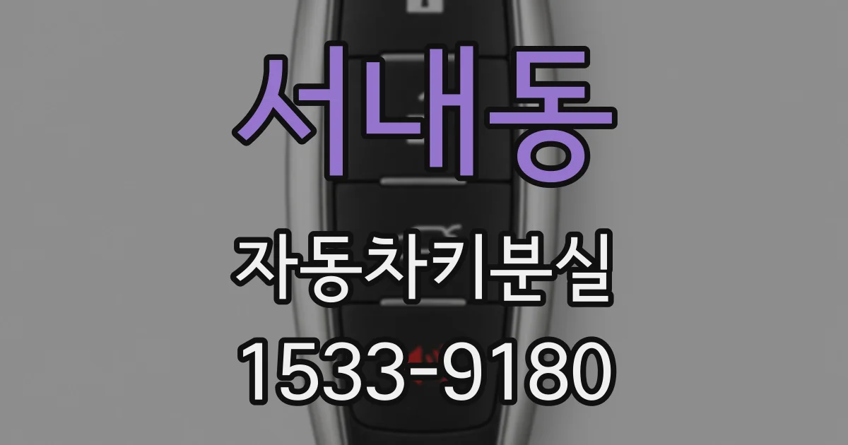 서내동 자동차키분실
