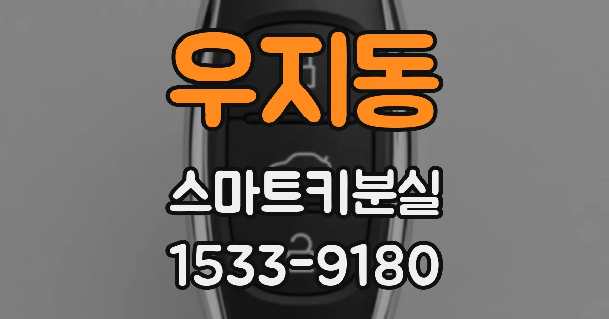 우지동 스마트키분실