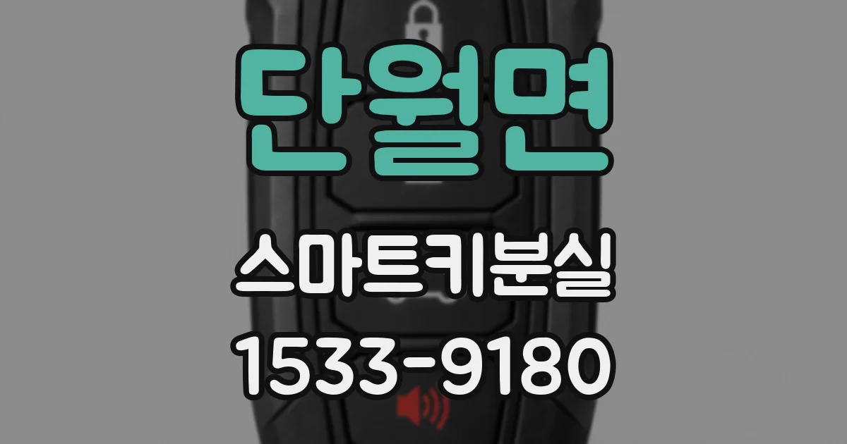 단월면 스마트키분실