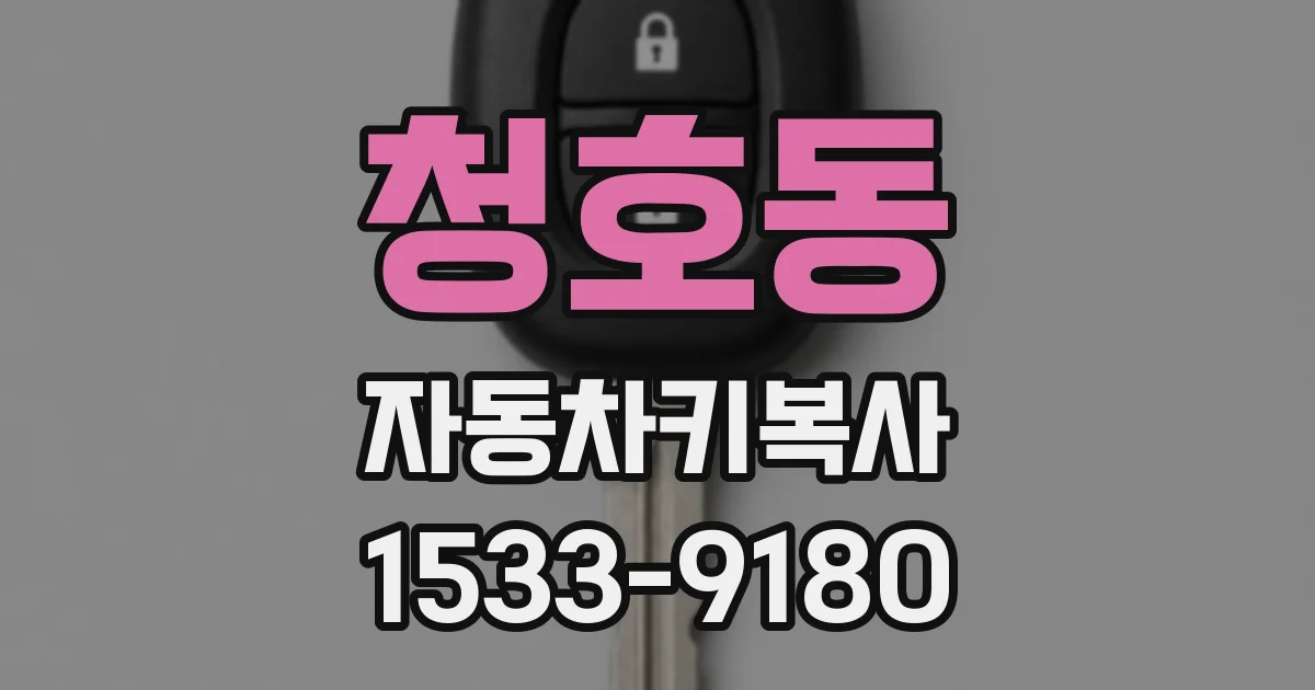 청호동 자동차키복사