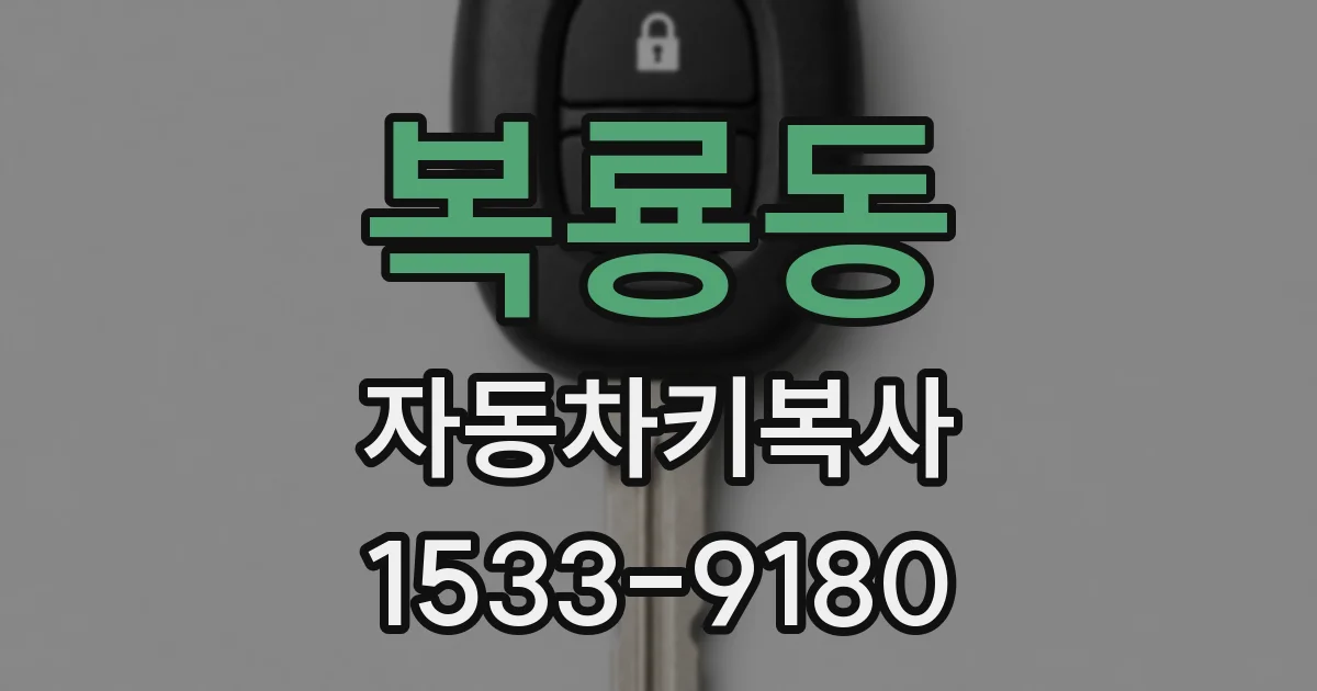 복룡동 자동차키복사