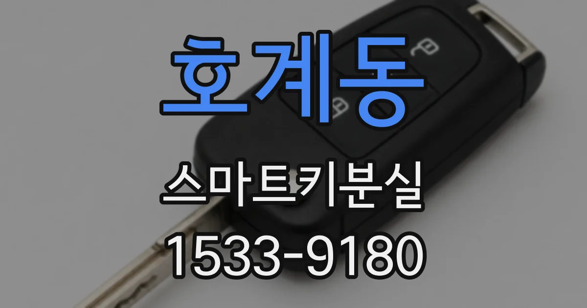 호계동 스마트키분실