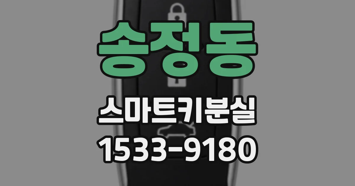 송정동 스마트키분실