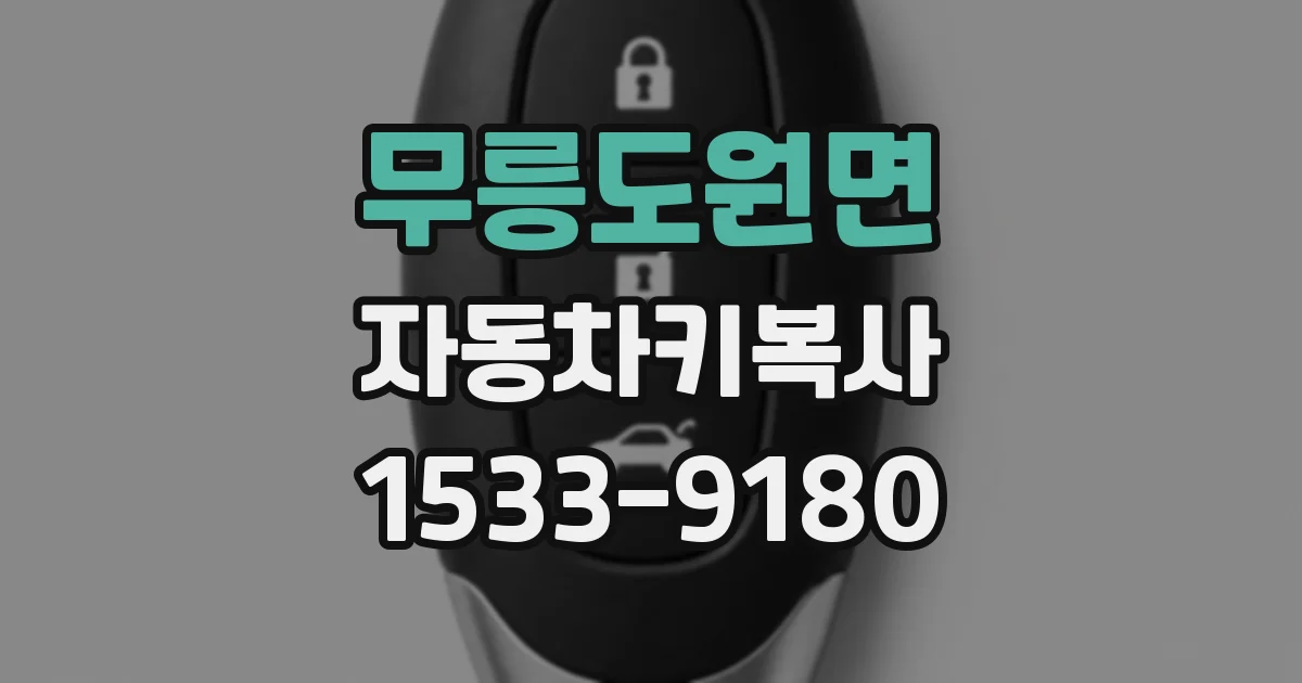 무릉도원면 자동차키복사