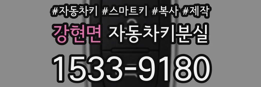 강현면 자동차키분실