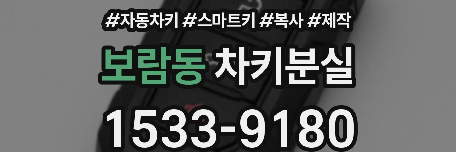 보람동 차키분실