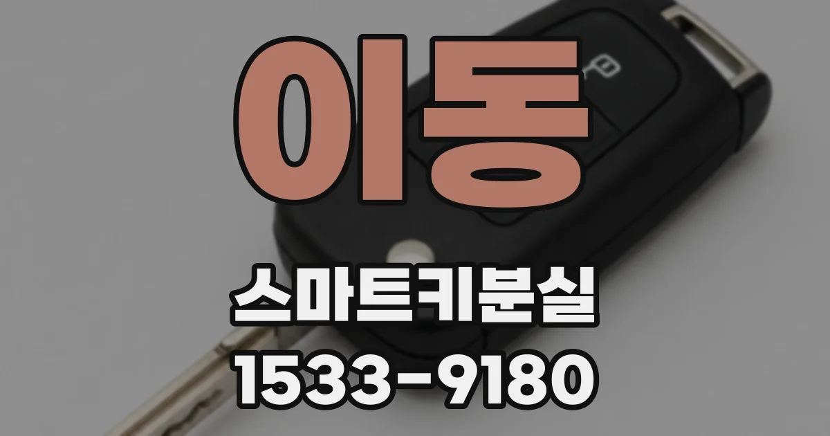 이동 스마트키분실