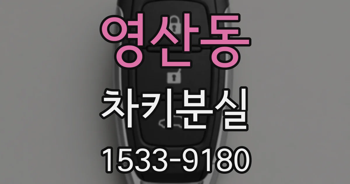 영산동 차키분실