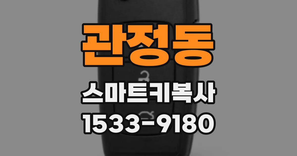 관정동 스마트키복사