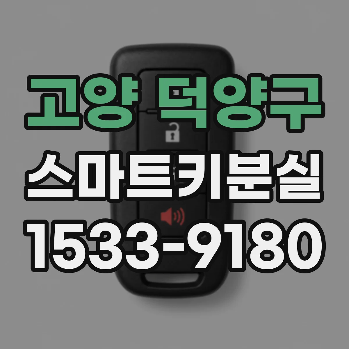 고양 덕양구 스마트키분실