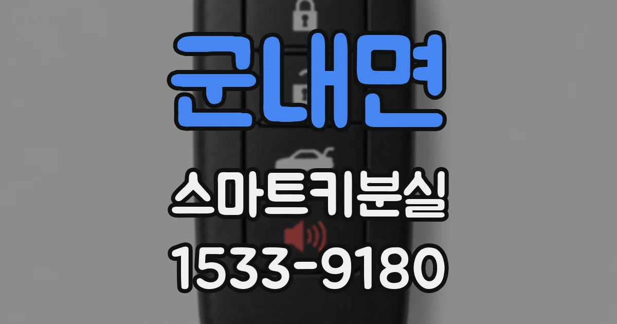 군내면 스마트키분실