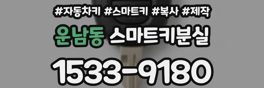 운남동 스마트키분실