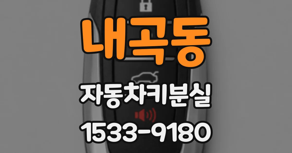 내곡동 자동차키분실