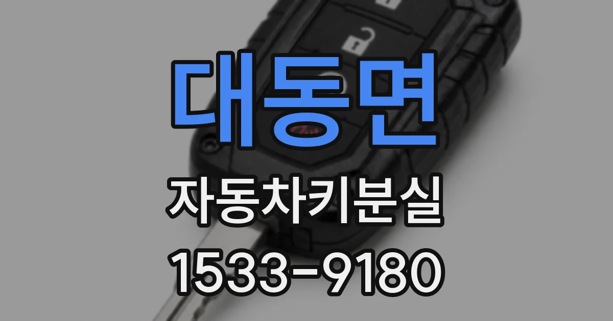 대동면 자동차키분실