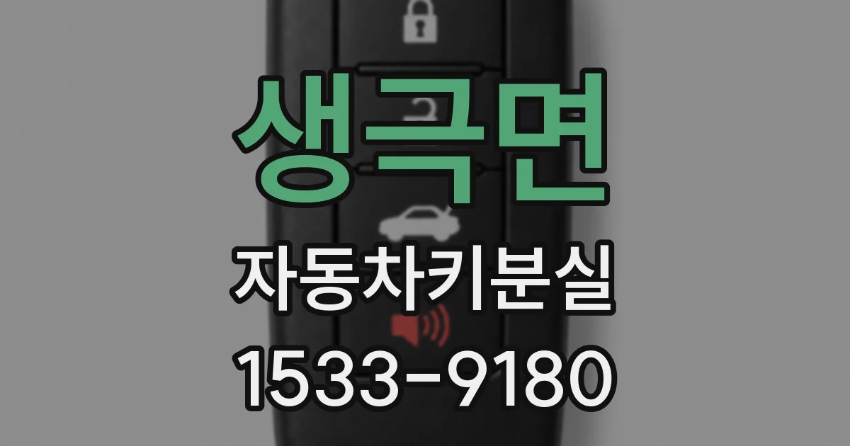 생극면 자동차키분실